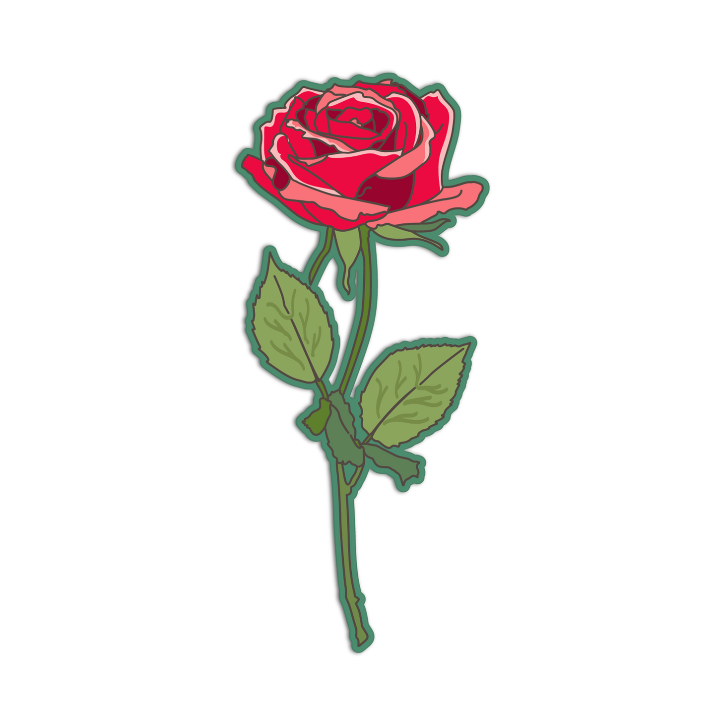 Red rose with green stem and leaves on a white background