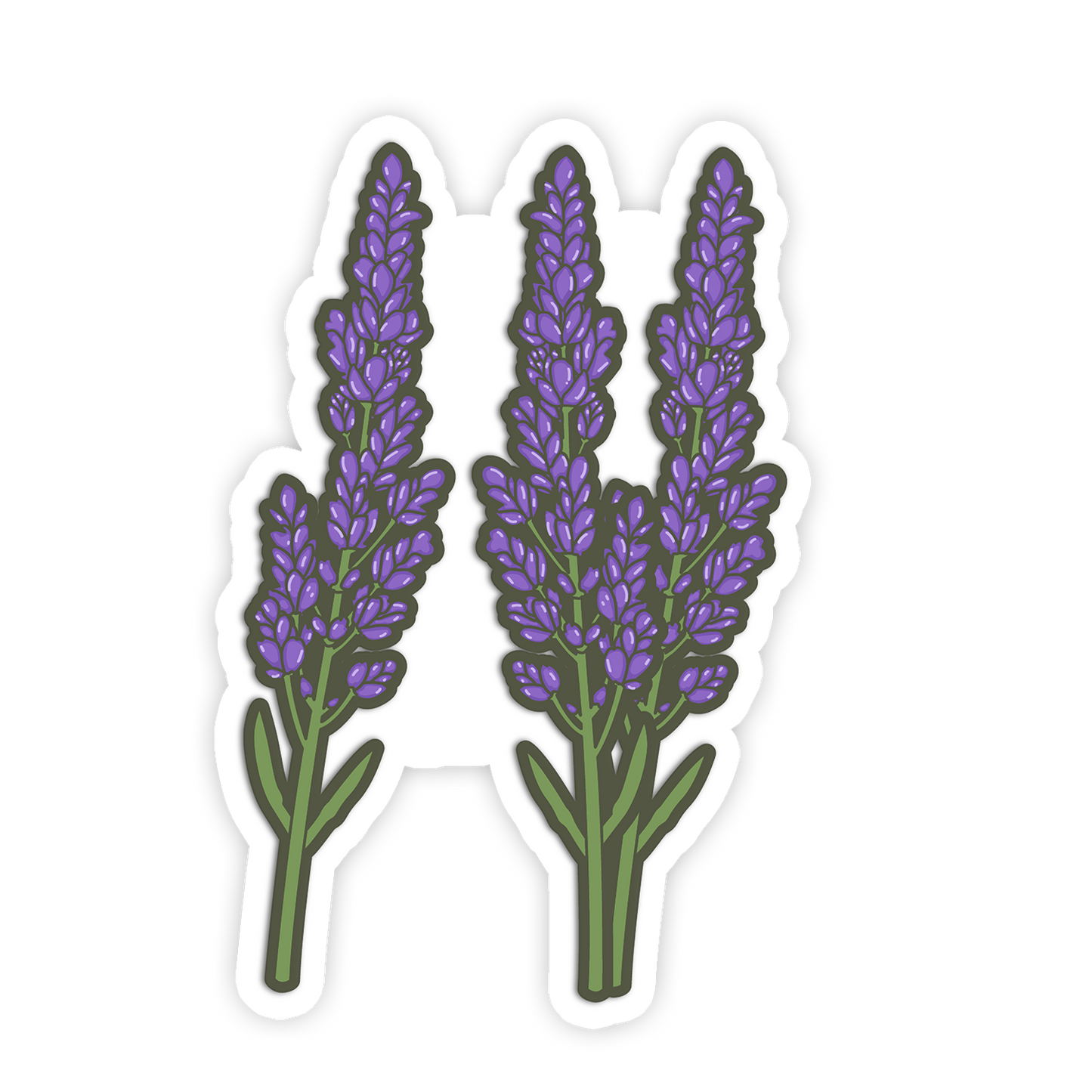 Three lavender flowers on a white background