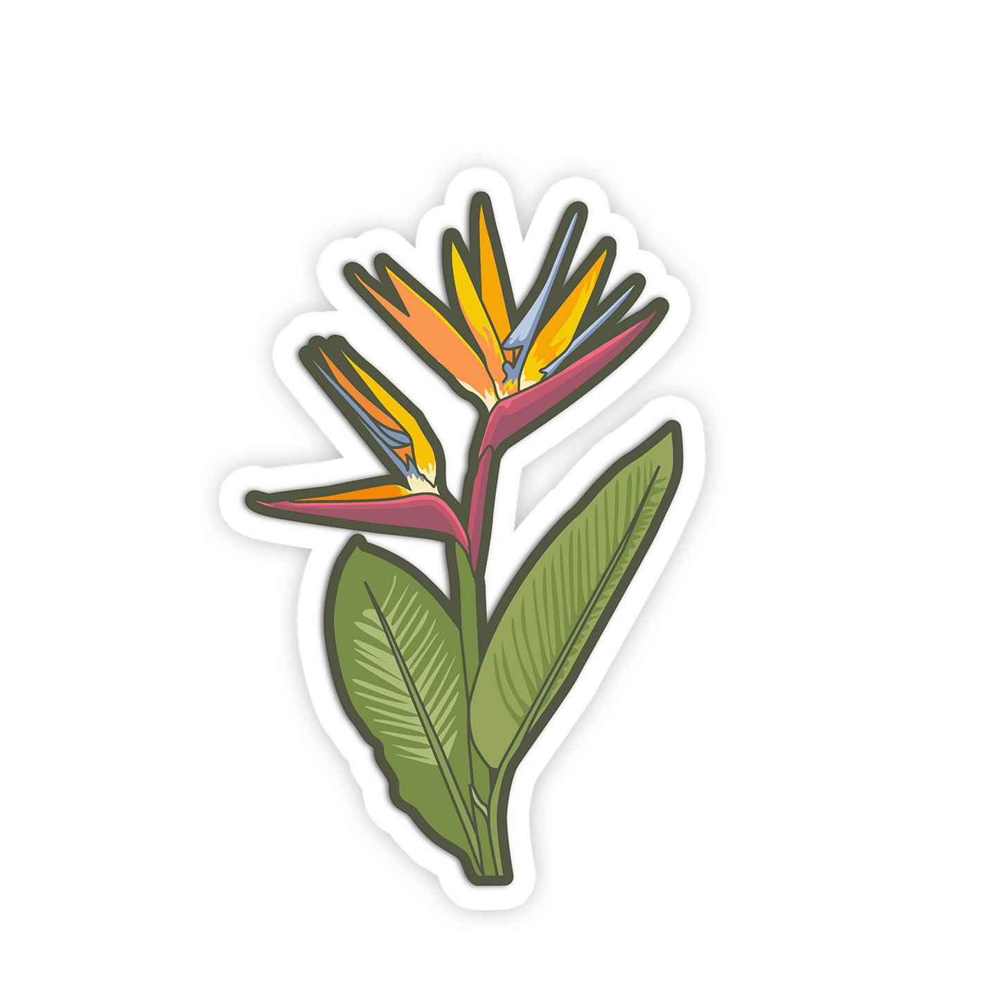 Colorful illustration of a bird-of-paradise flower on a white background