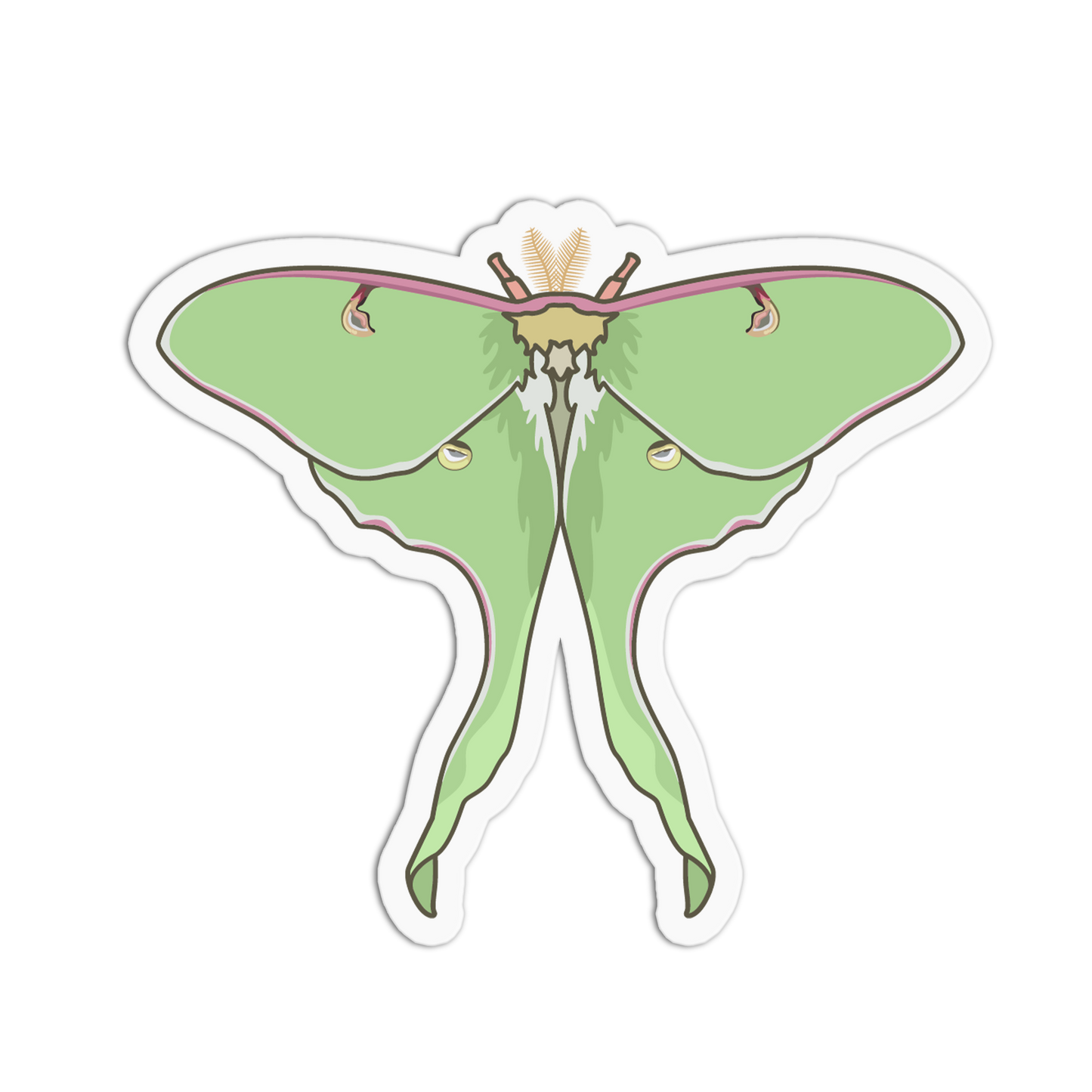 Illustration of a green butterfly with a white border on a white background