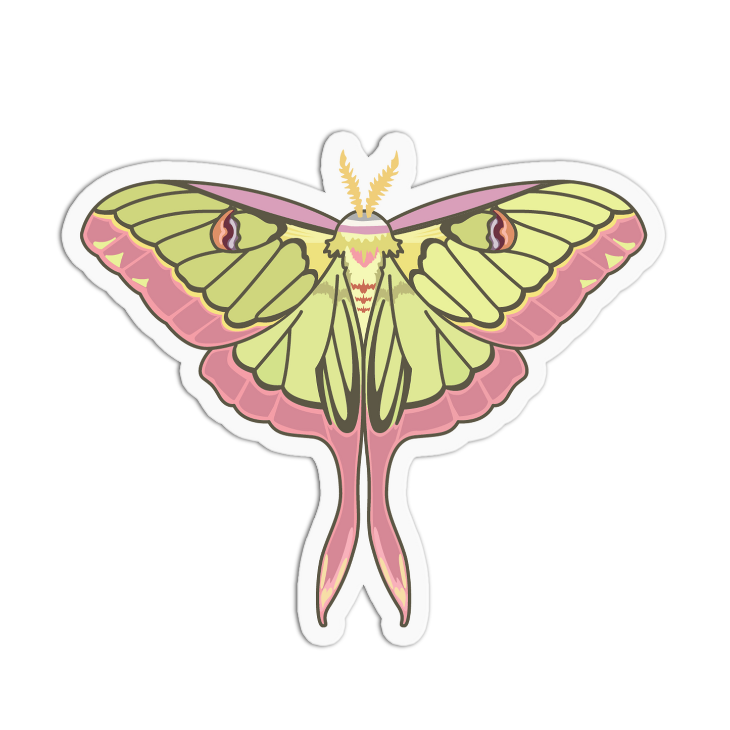 Colorful butterfly illustration on a white background