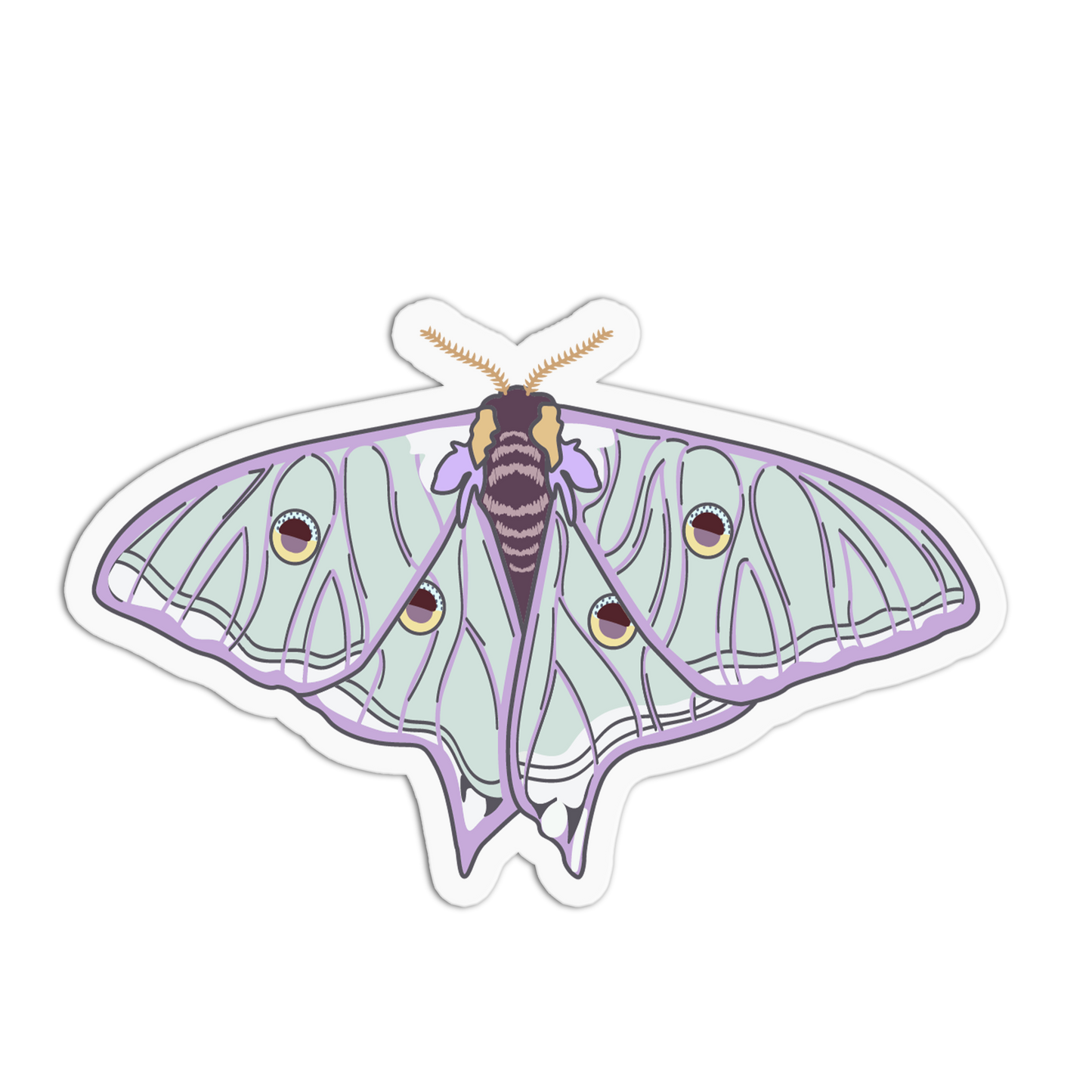 Illustration of a moth with purple and green wings on a white background