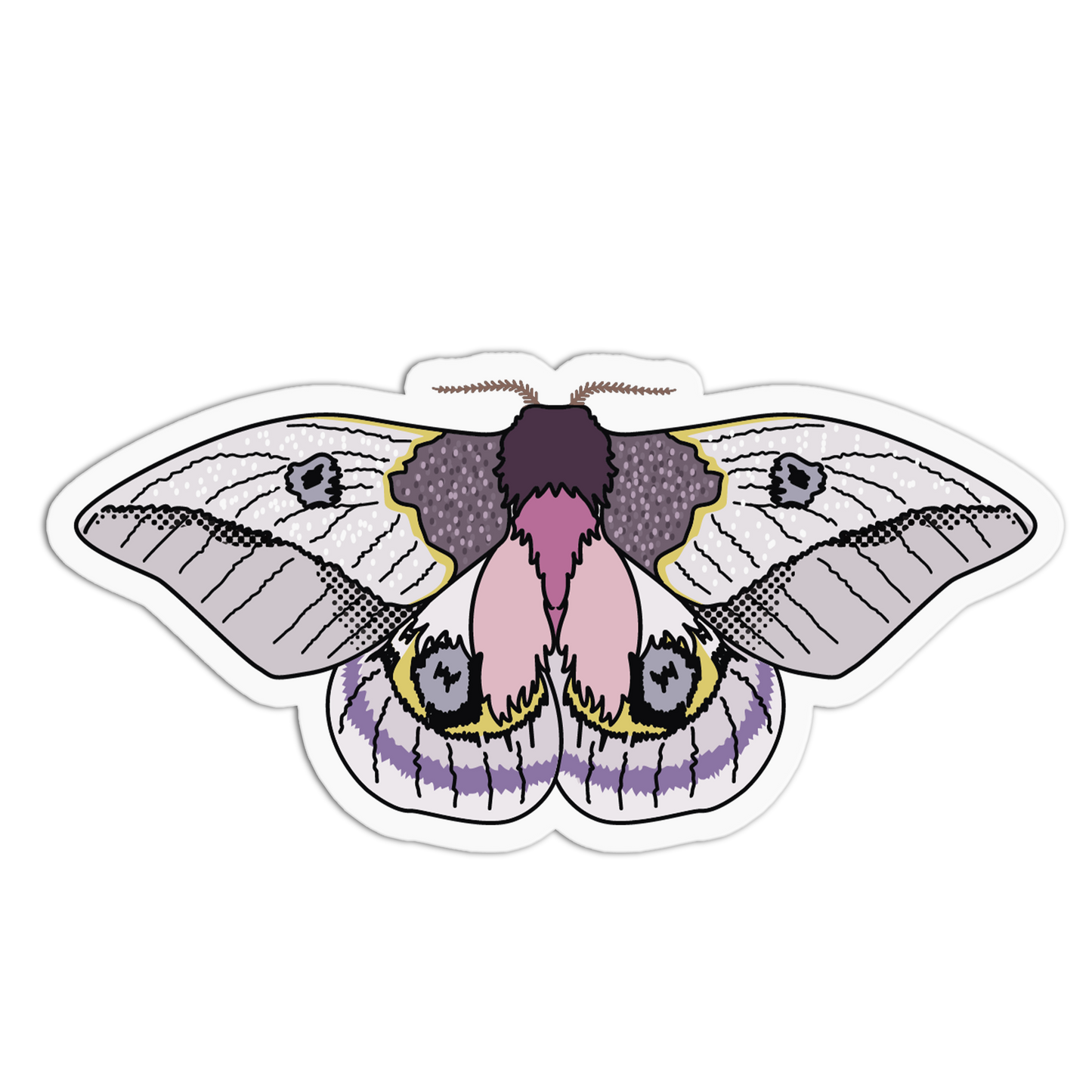 Illustration of a moth with purple and pink colors on a white background