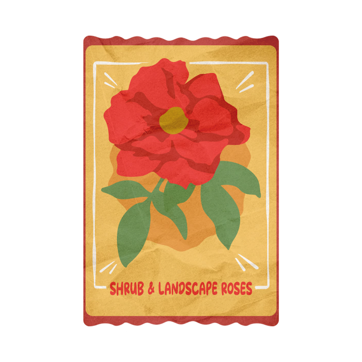 Shrub Landscape Rose Packet Sticker
