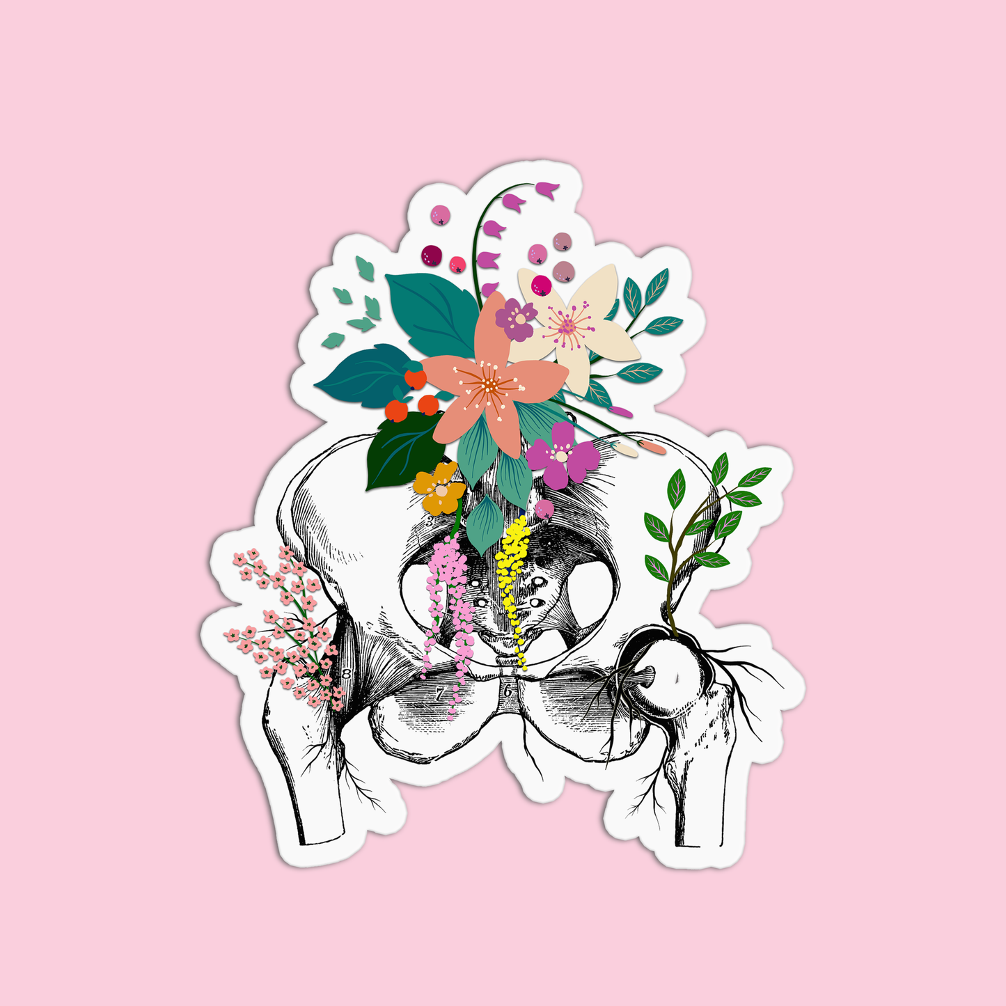 Pelvis with Flowers Anatomy Sticker