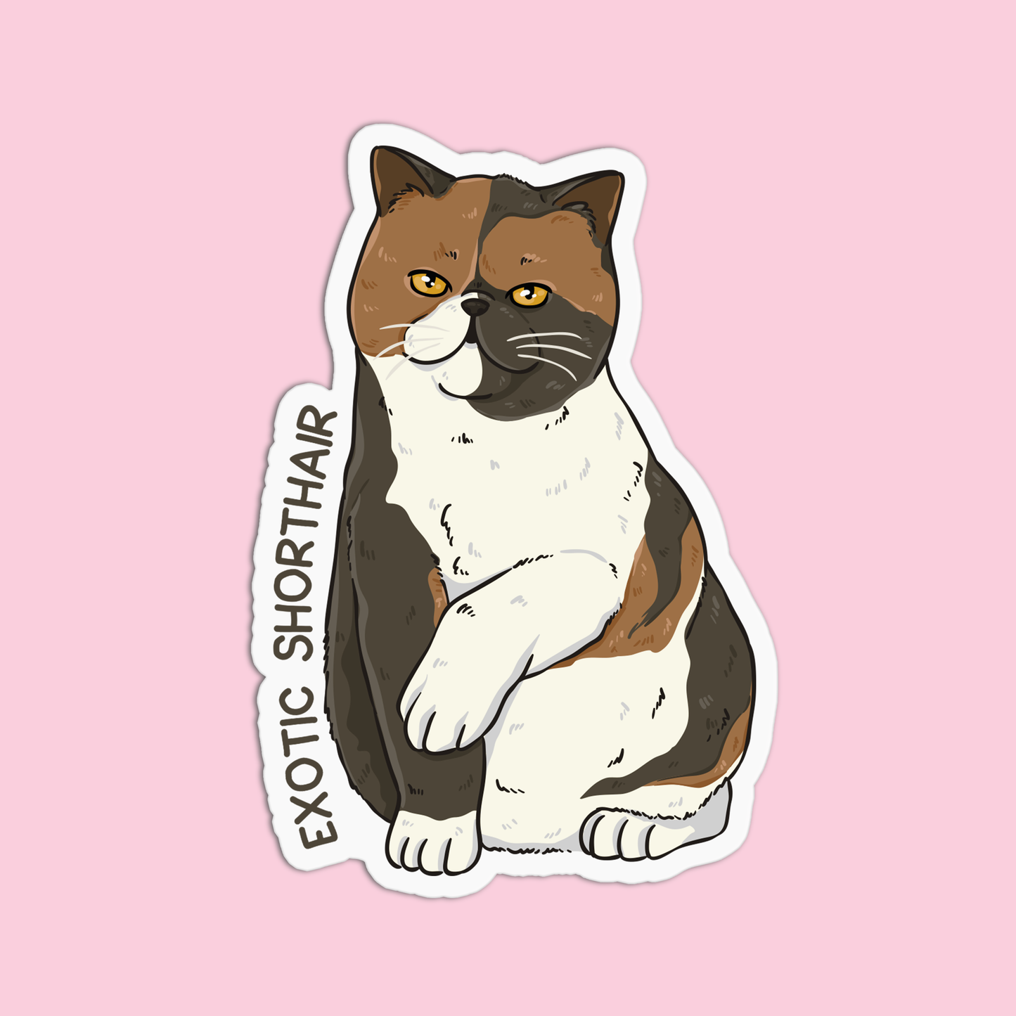 Exotic Shorthair Cat Sticker