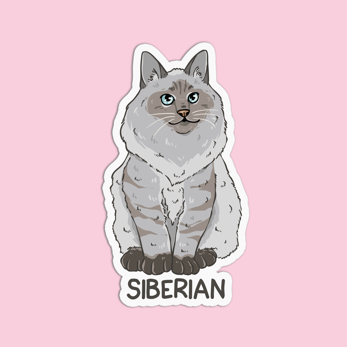 Siberian Cat Sticker