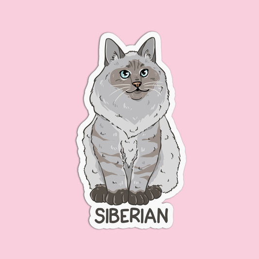 Siberian Cat Sticker
