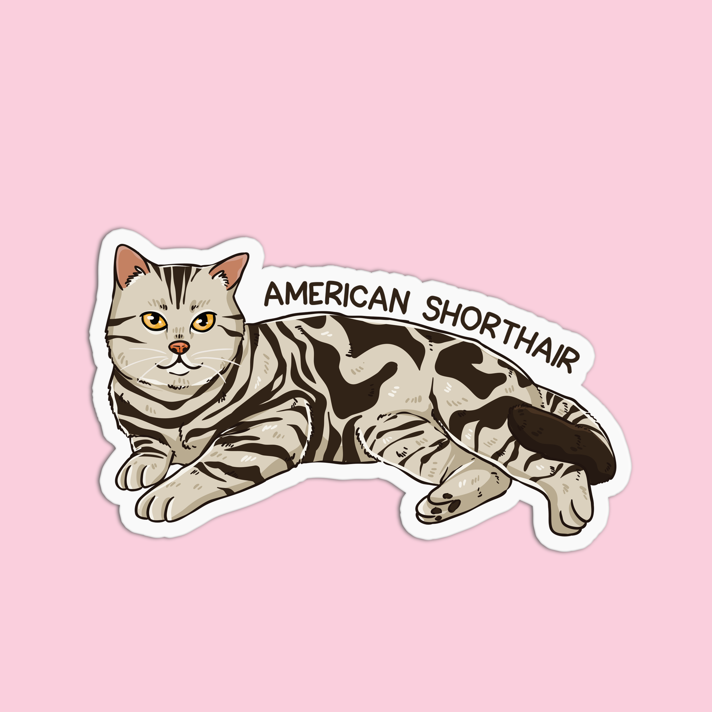 American Shorthair Cat Sticker