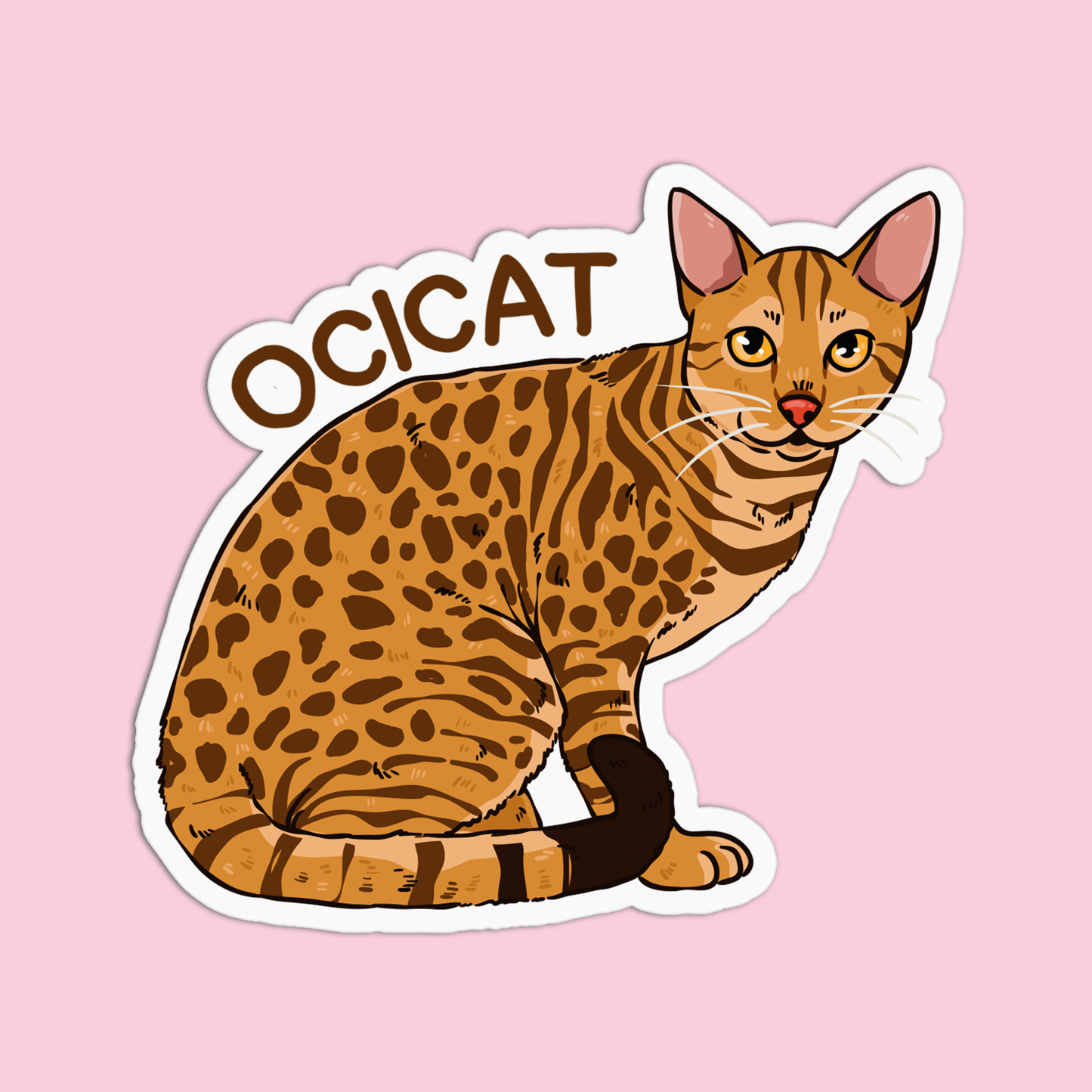 Ocicat Cat Sticker