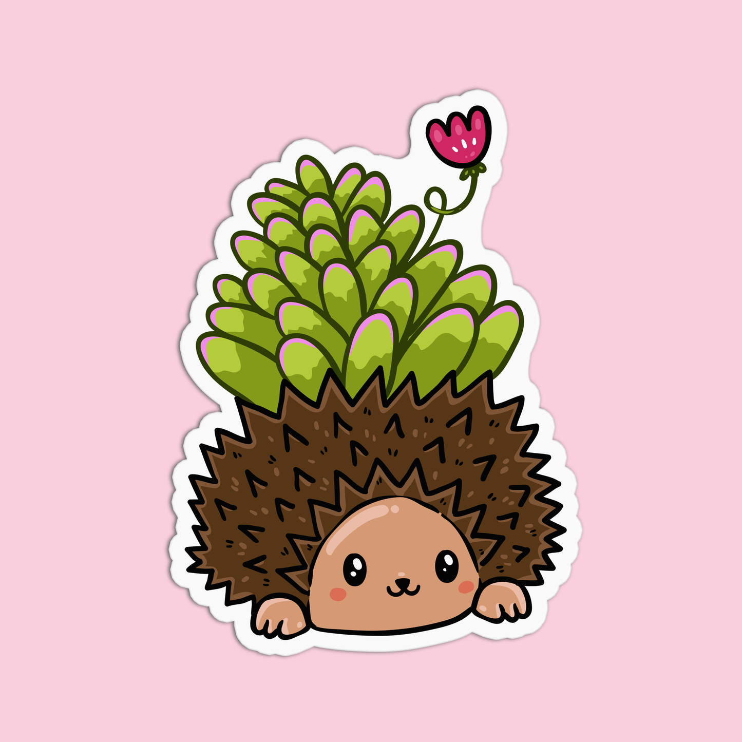 Hedgehog Plant Sticker