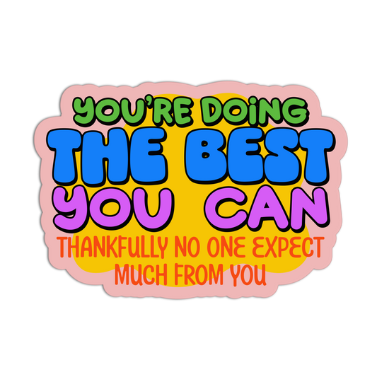 Low Expectations Disappointment Affirmation Stickers