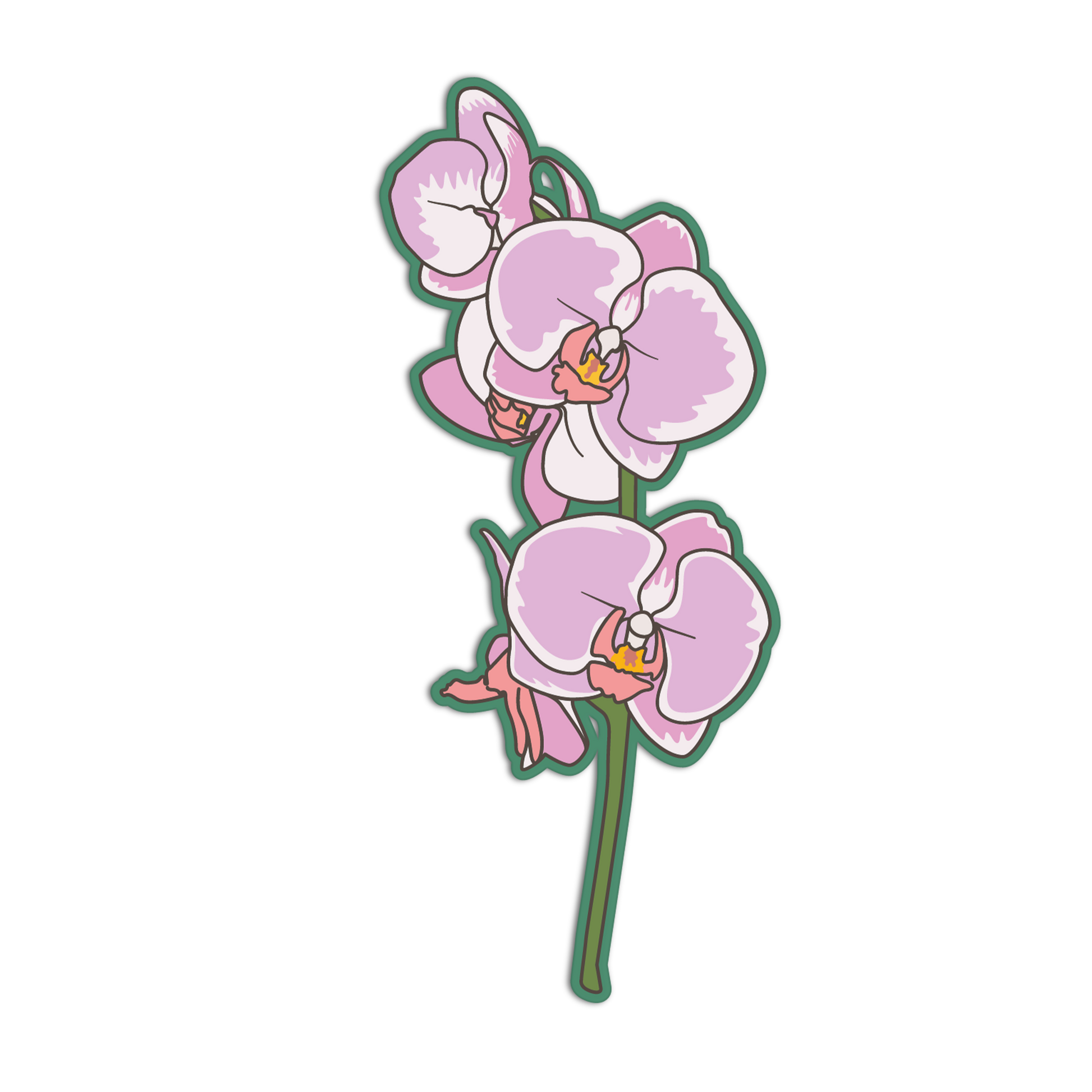 Stylized illustration of pink orchids on a white background