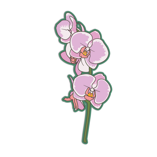 Stylized illustration of pink orchids on a white background