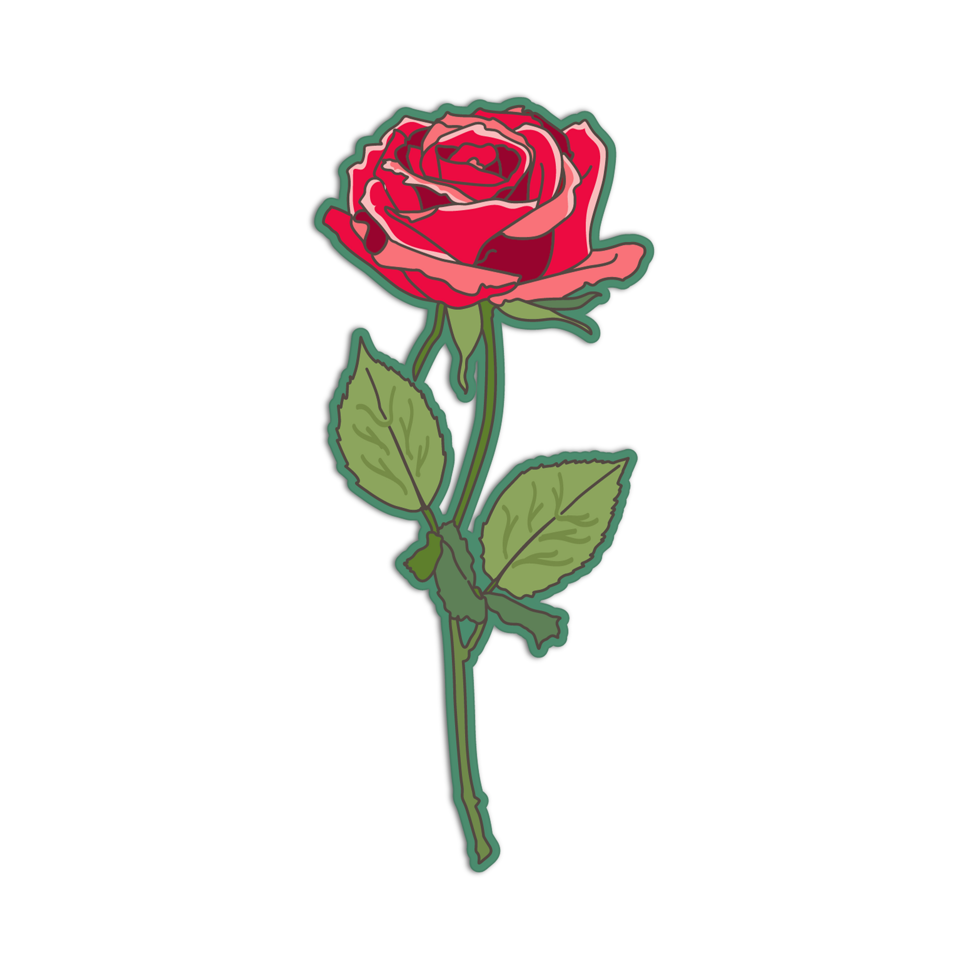Red rose with green stem and leaves on a white background