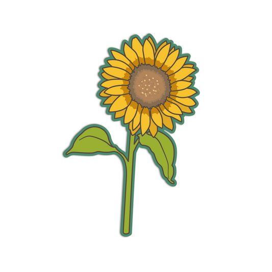 Illustration of a sunflower on a transparent background
