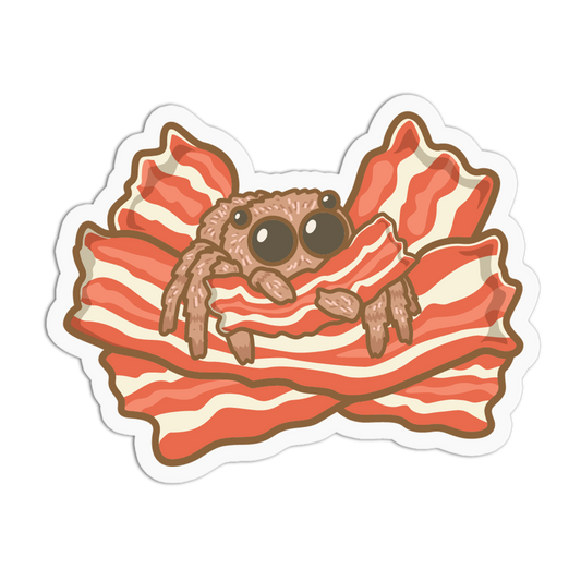 Cartoon spider on a piece of bacon with a white border