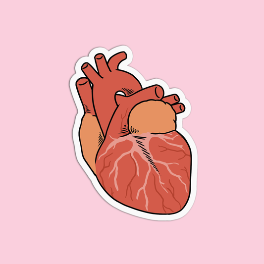 Heart Organ Science Sticker