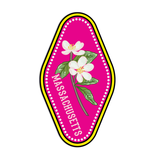 Emblem with flowers and 'Massachusetts' text on a pink background