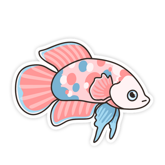 Colorful fish illustration on a white background