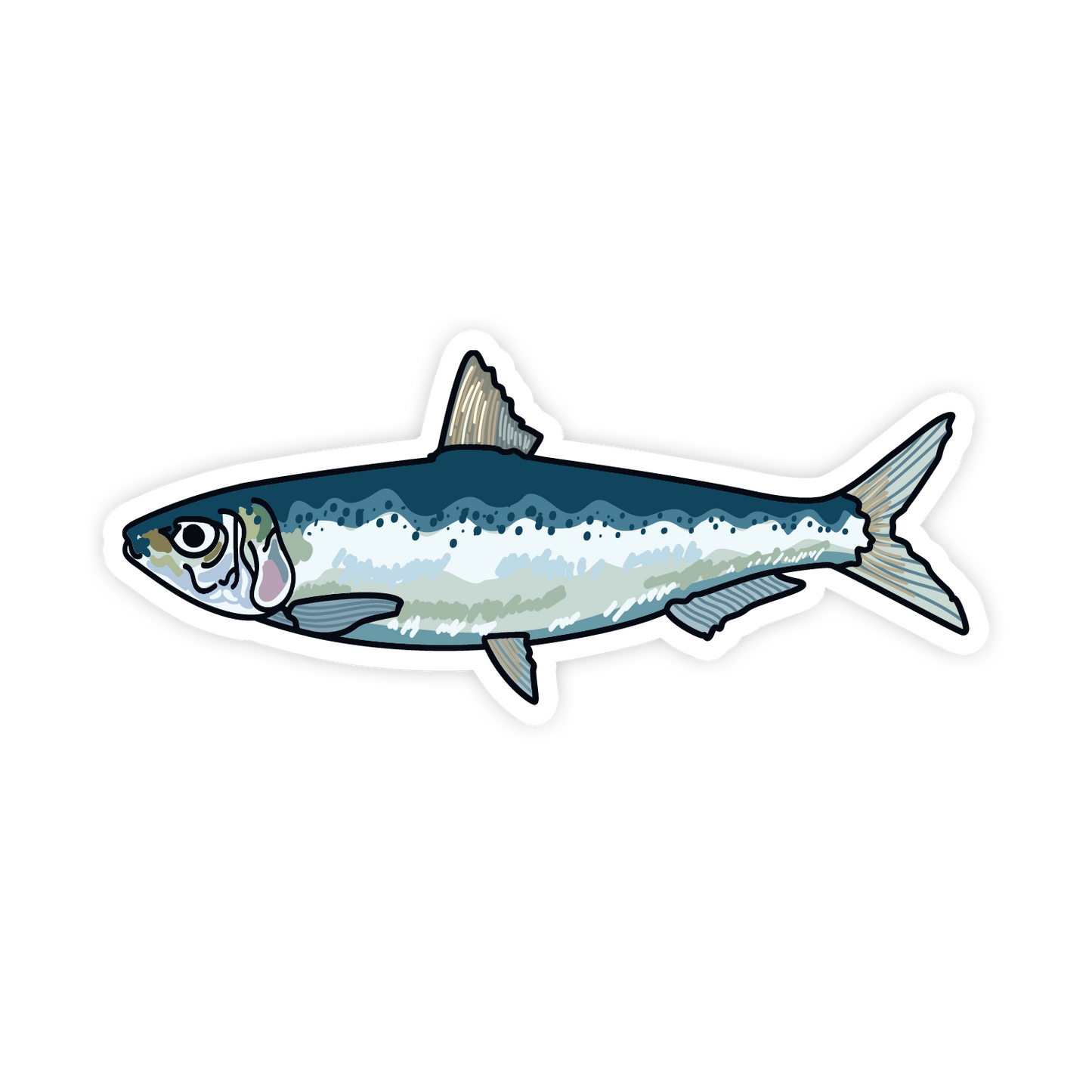 Illustration of a fish on a white background