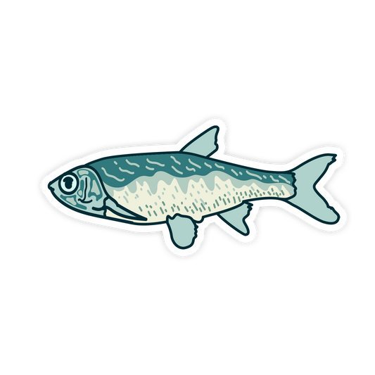 Fish-shaped sticker with gradient colors on a white background