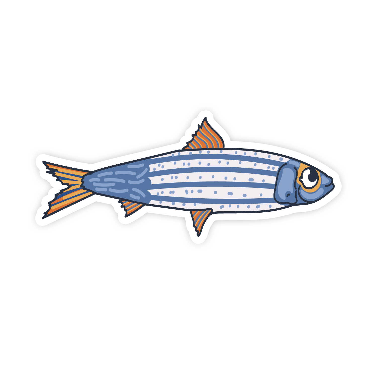 Illustration of a striped fish on a white background