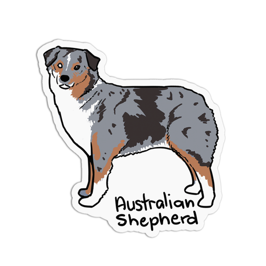 Australian Shephred Dogs Sticker
