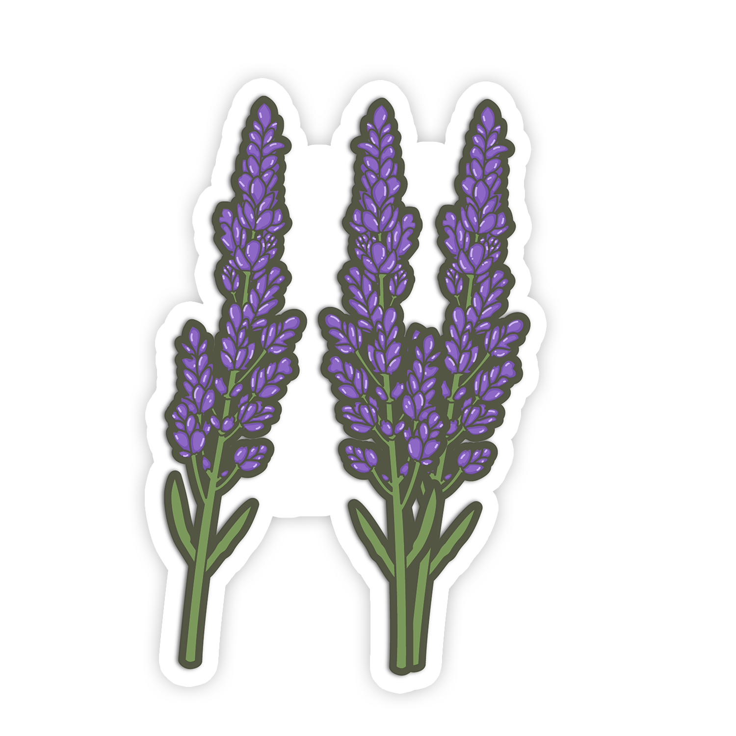 Three lavender flowers on a white background