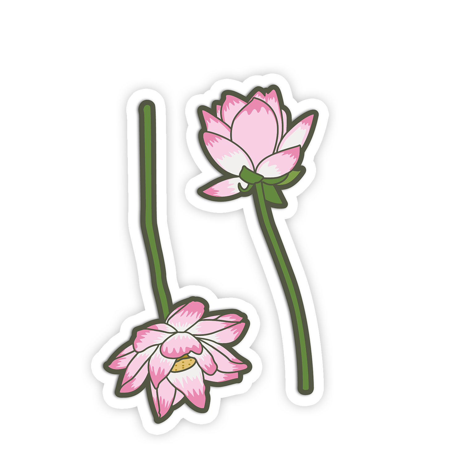 Two pink lotus flowers with green stems on a white background