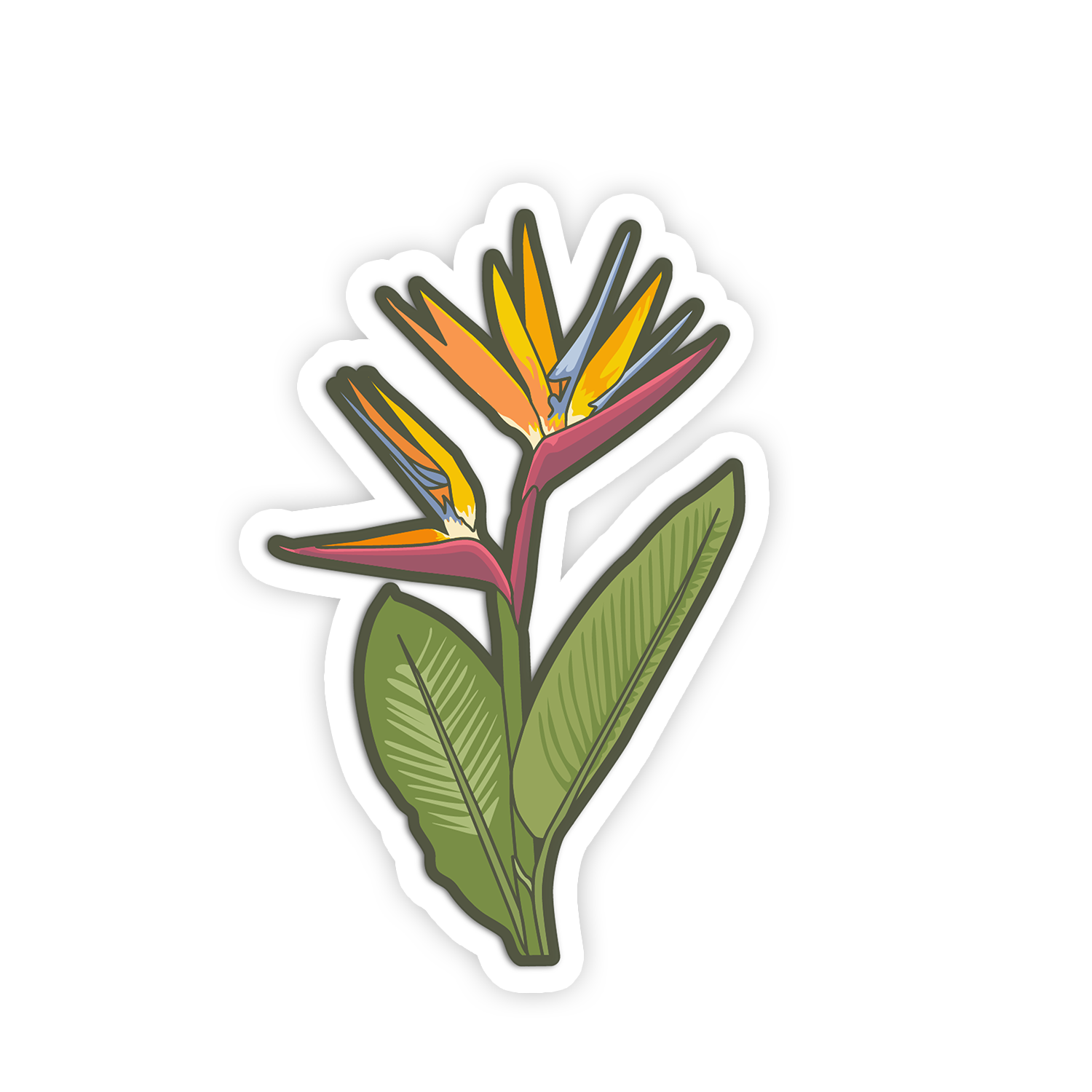 Colorful illustration of a bird-of-paradise flower on a white background