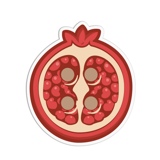 Illustration of a pomegranate cut open with seeds on a white background