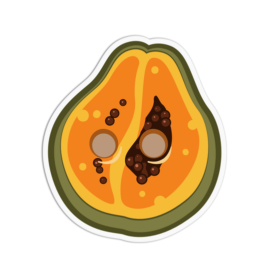 Illustration of a halved papaya on a white background