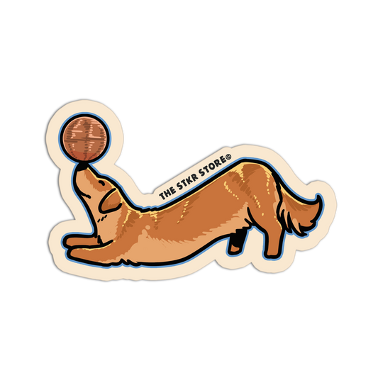 Golden Retriever Ball Balance Dog Stickers