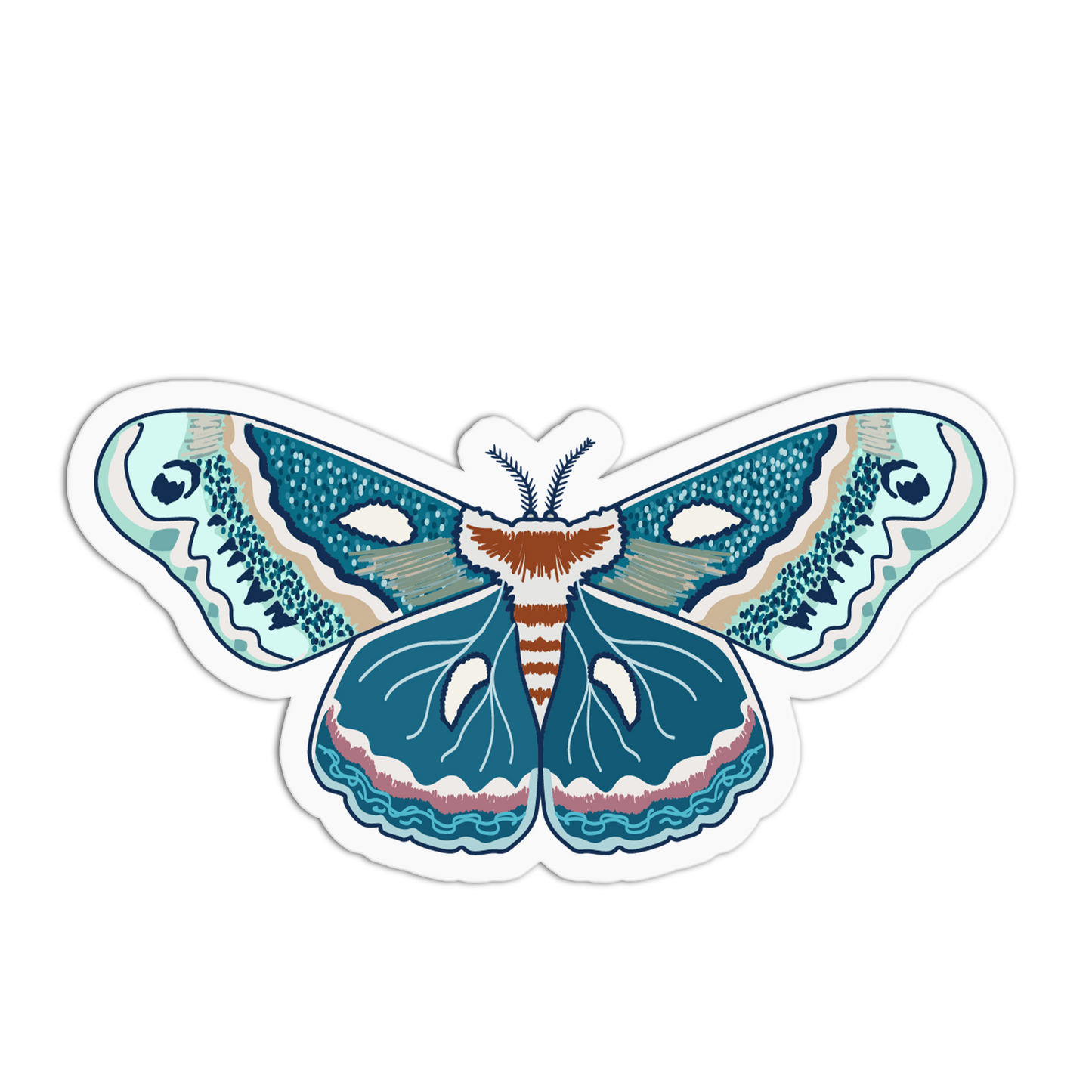 Colorful butterfly illustration on a white background