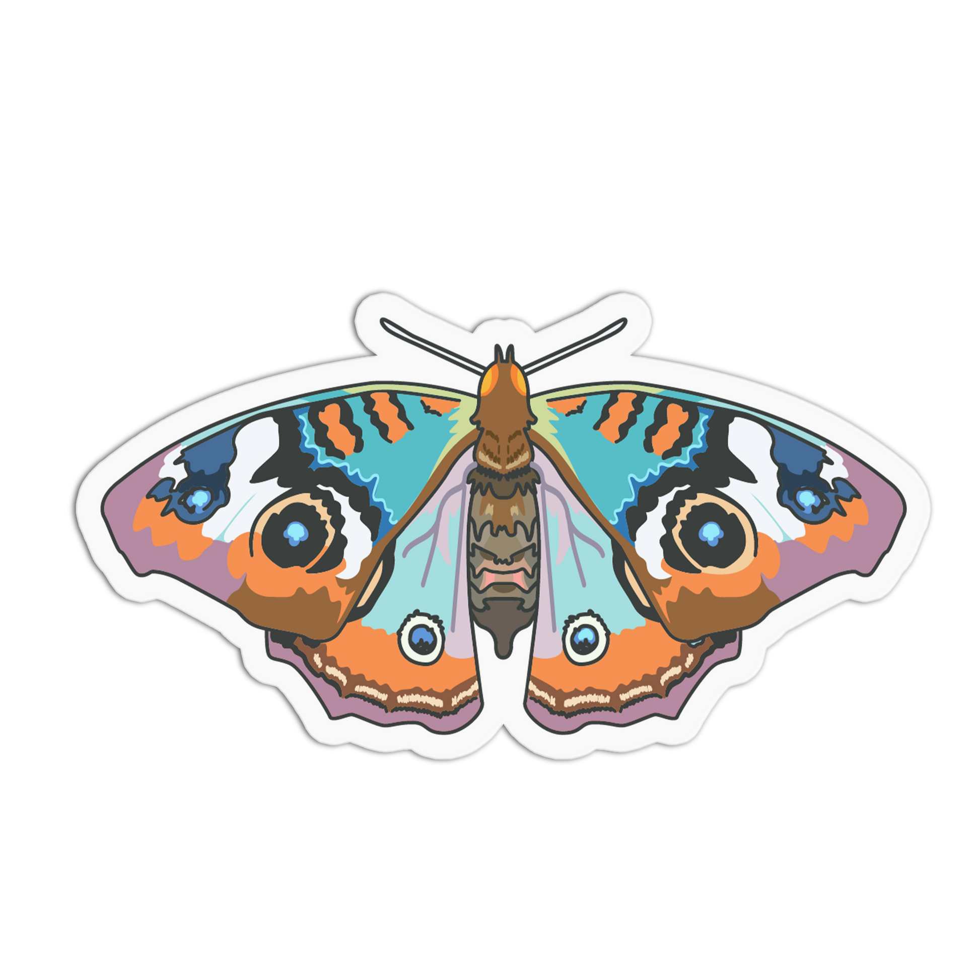 Colorful butterfly illustration on a white background