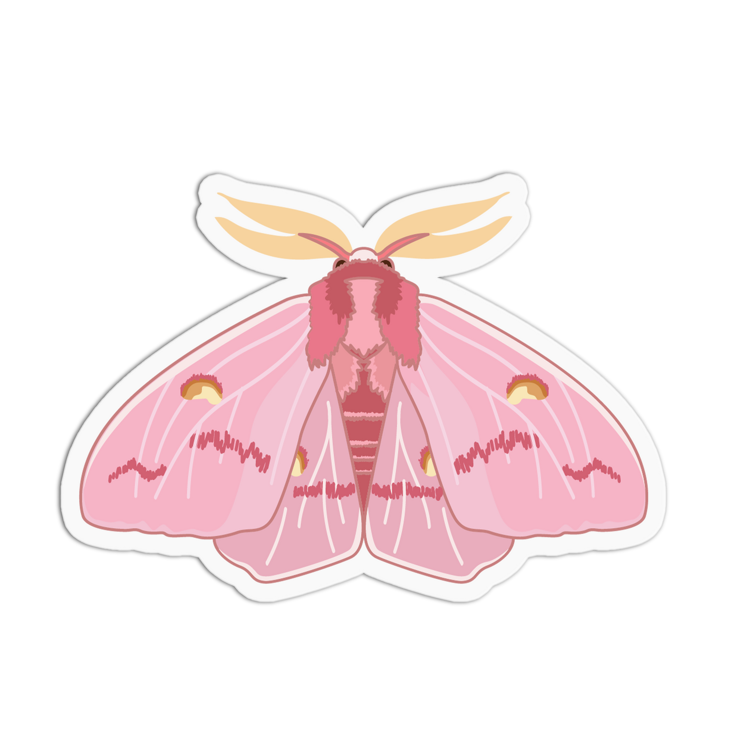 Pink moth illustration on a white background