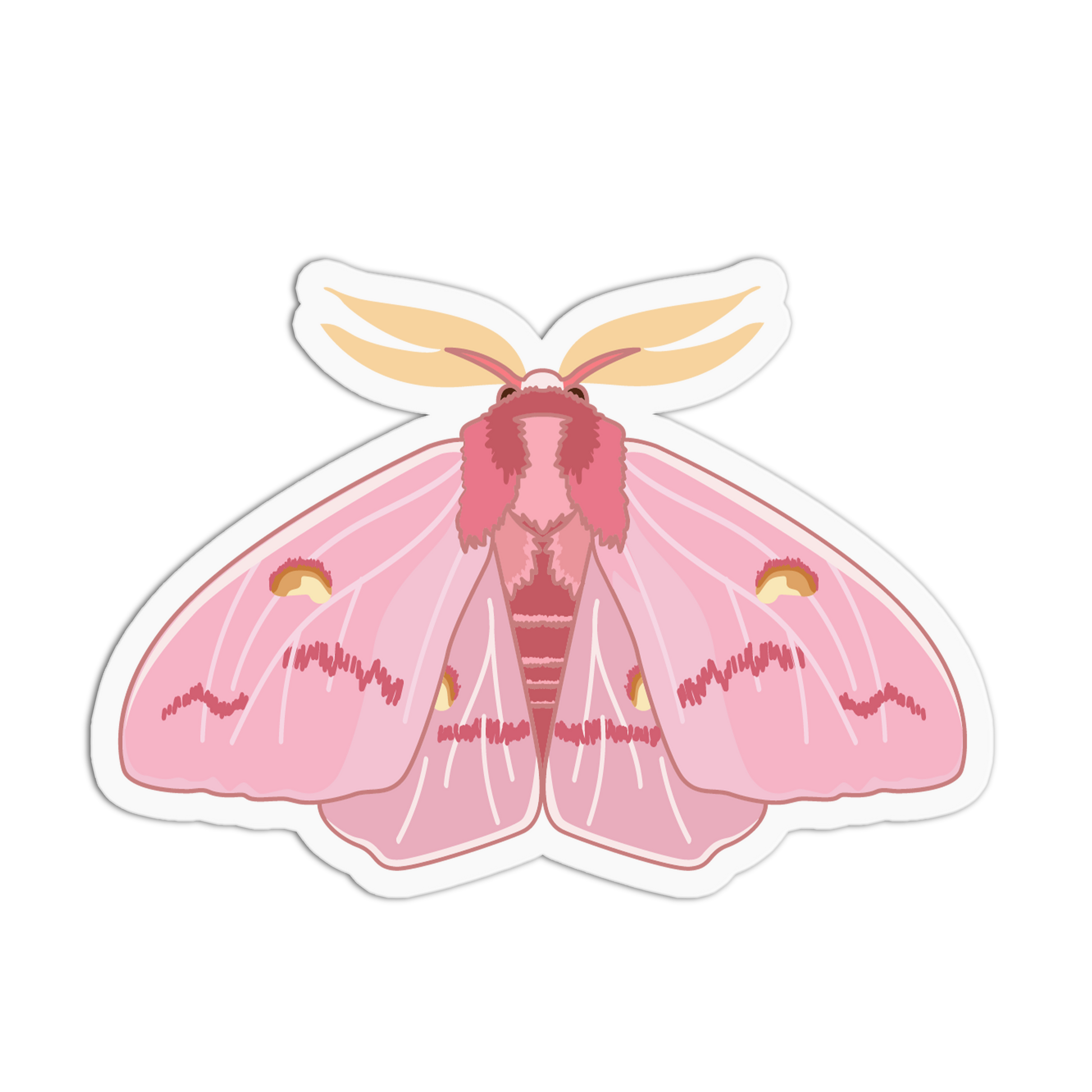Pink moth illustration on a white background