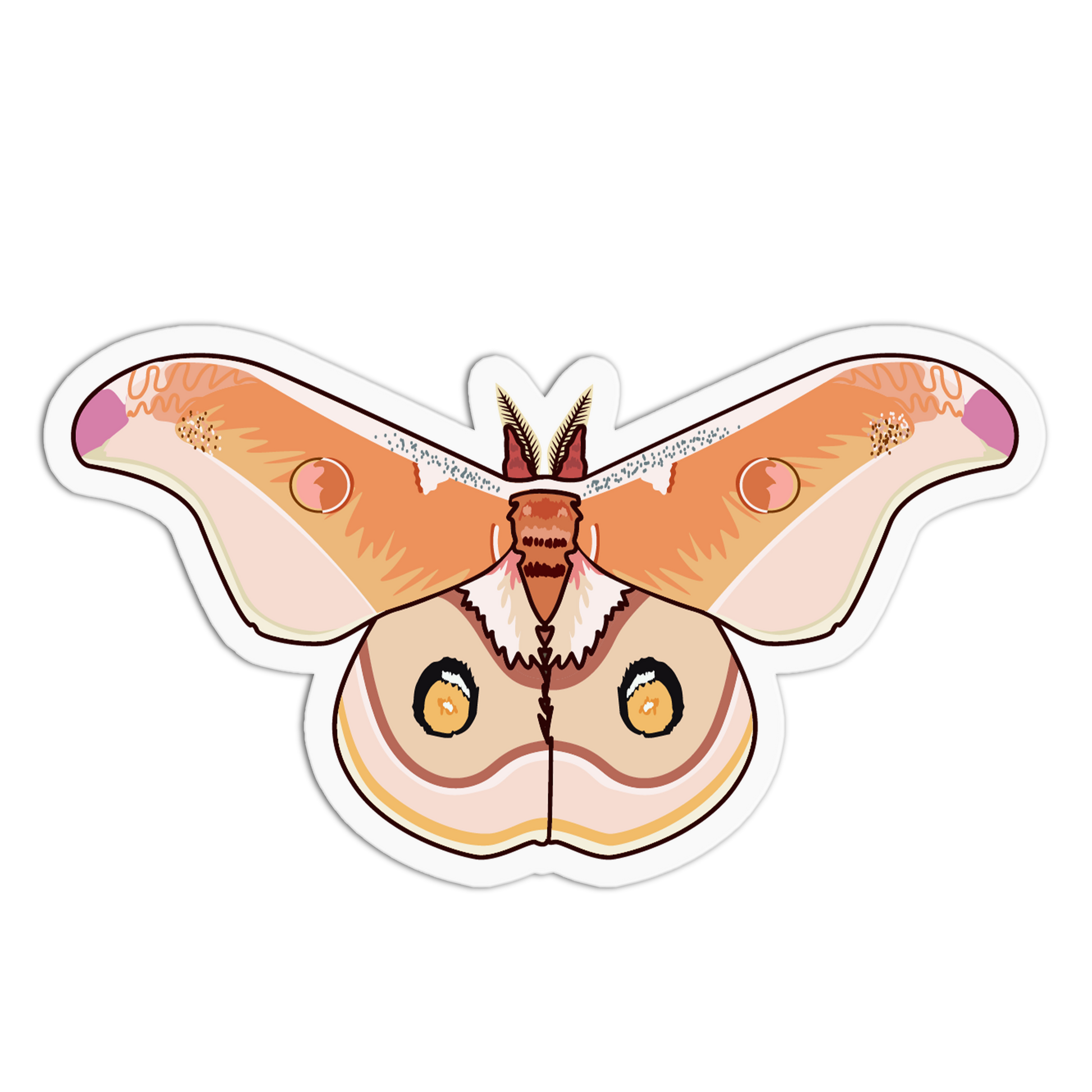 Illustration of a butterfly with orange and pink wings on a white background