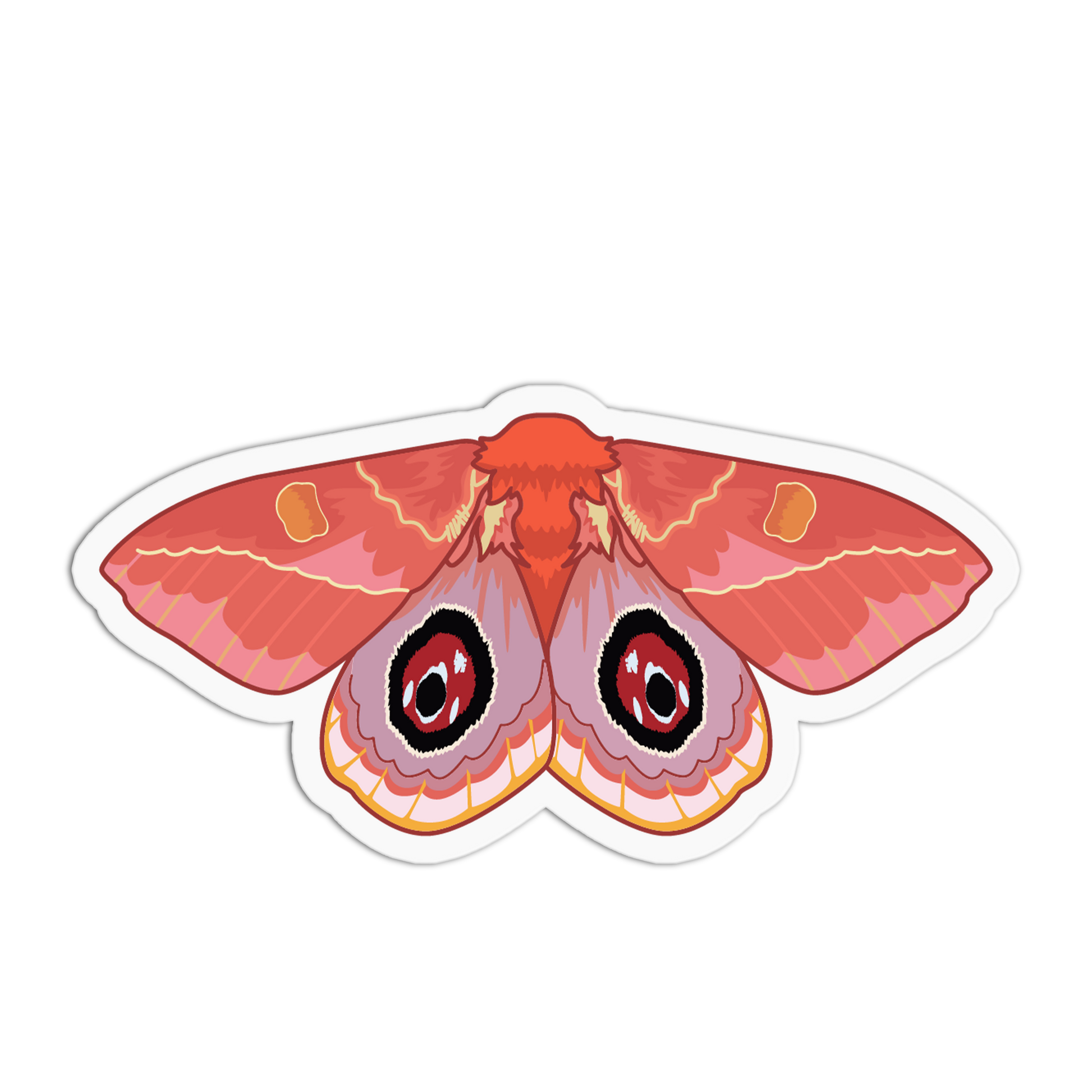 Illustration of a red moth with black eyespots on a white background