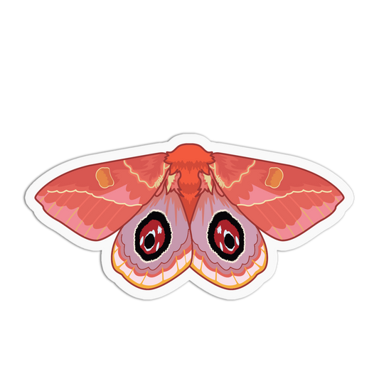 Illustration of a red moth with black eyespots on a white background