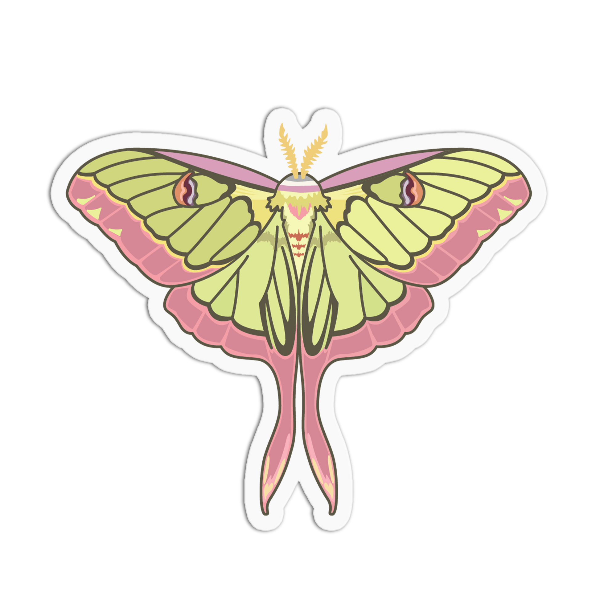 Colorful butterfly illustration on a white background