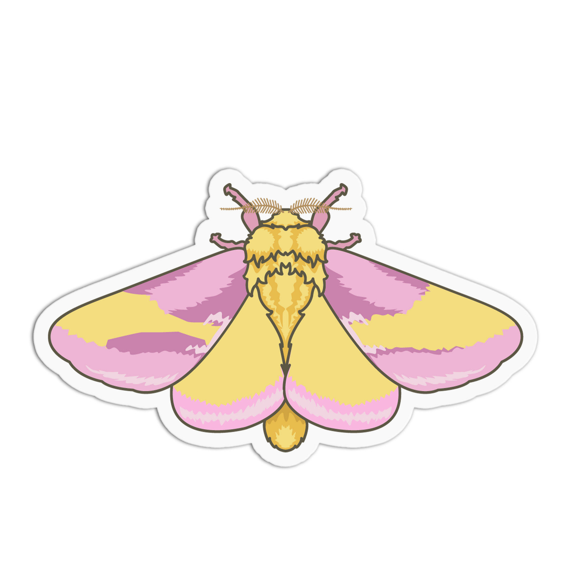 Sticker of a pink and yellow moth on a white background