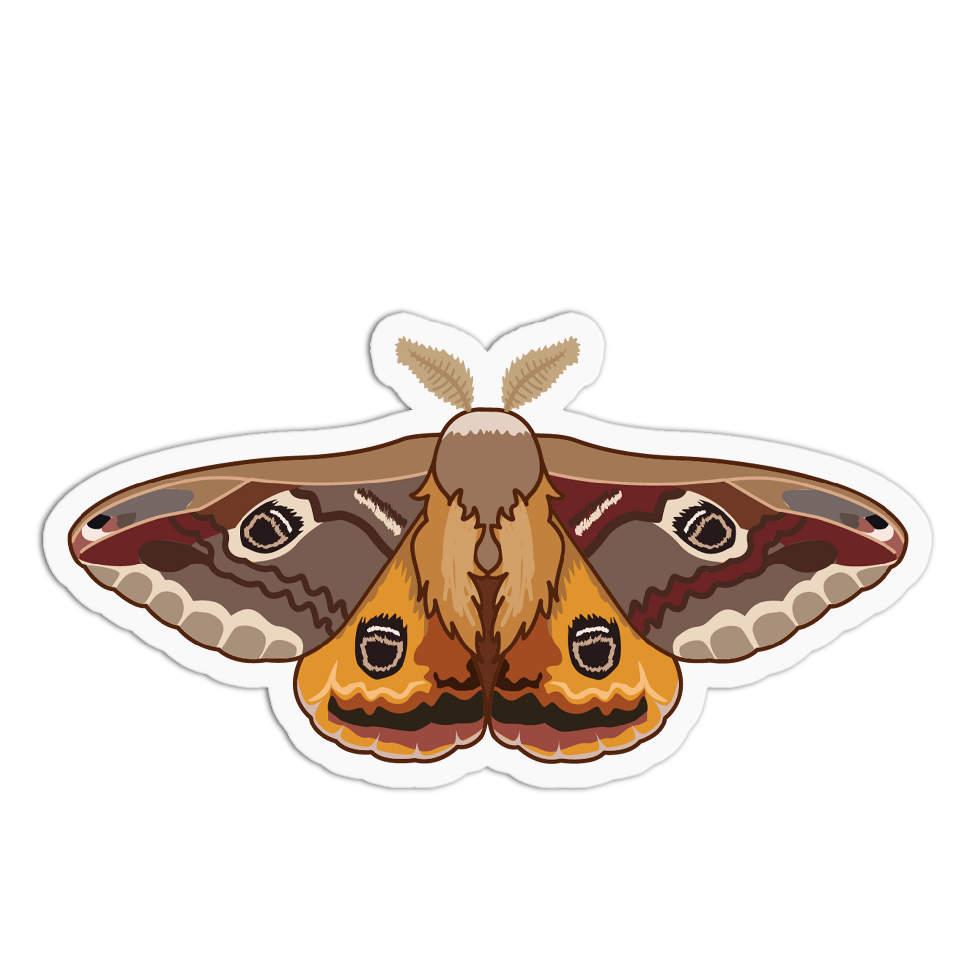 Sticker of a brown and orange moth on a white background