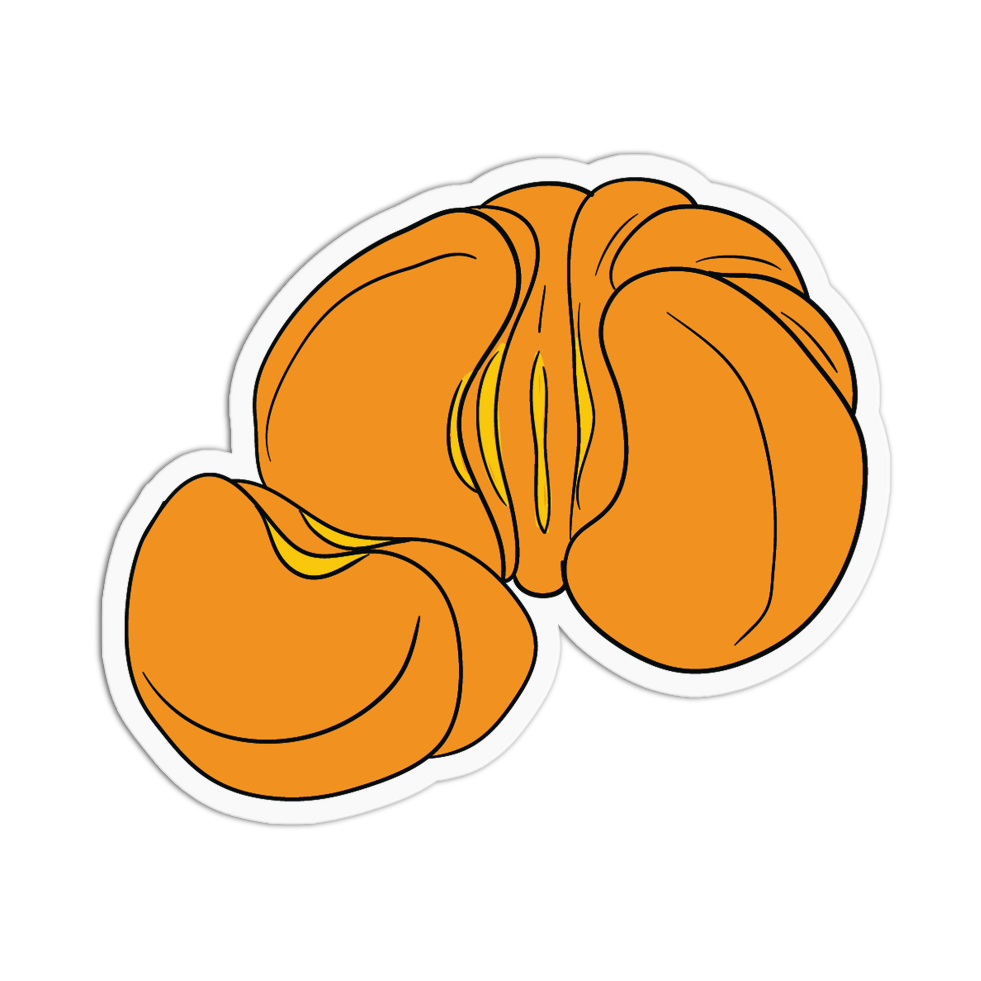 Illustration of two apricots on a white background