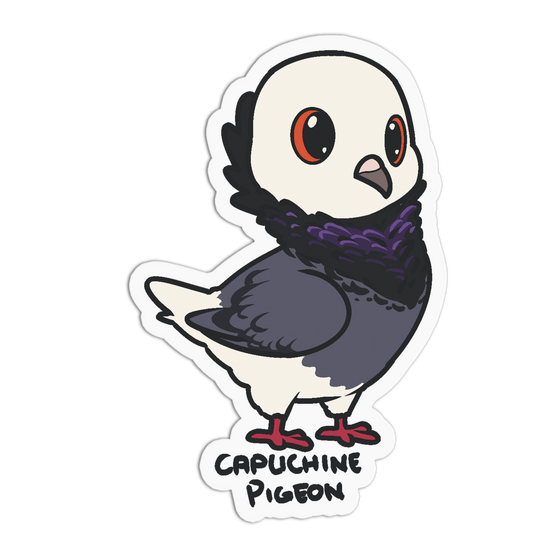 A die-cut sticker featuring a cartoon capuchin pigeon with a dark gray body, white head, purple scarf, red feet, and the text 'CAPUCHIN PIGEON' below, shown on a plain white background.