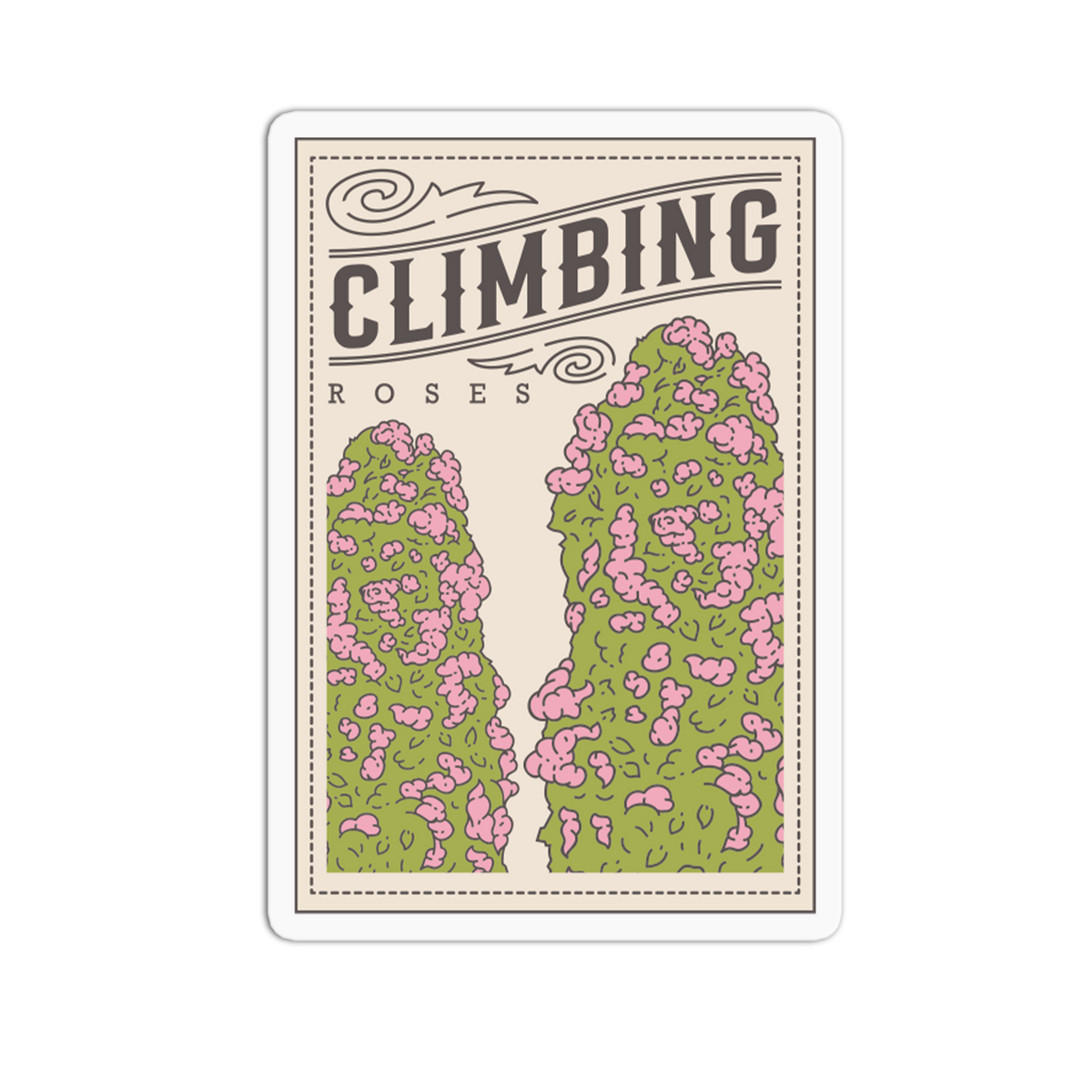Climbing Vine - Rose Packet Sticker