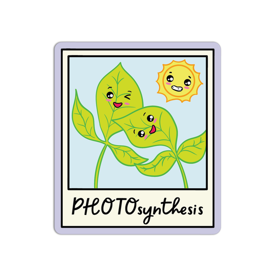 Photosynthesis New Science Sticker