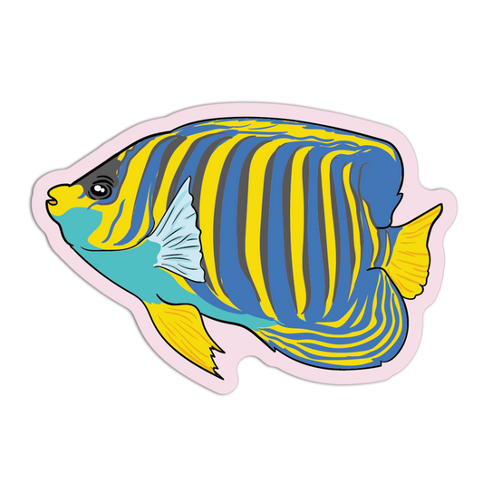 Reef Angelfish Sea Creatures Stickers