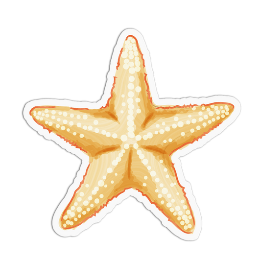 Golden Starfish Sea Shells Sticker